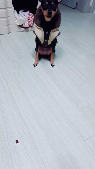 도도님이 올린 리뷰 사진 3