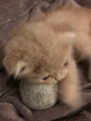 flowerblooming님이 올린 리뷰 사진 2