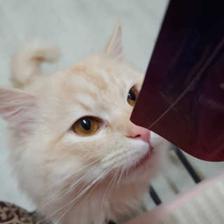 Lim님이 올린 리뷰 사진 3