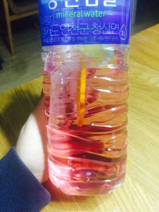 더THE담다 디톡스 워터 팩 500ml 5개 — 4점을 준 리뷰어가 2016년 11월 올린 사용 사진