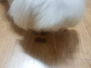 전형준님이 올린 리뷰 사진 4
