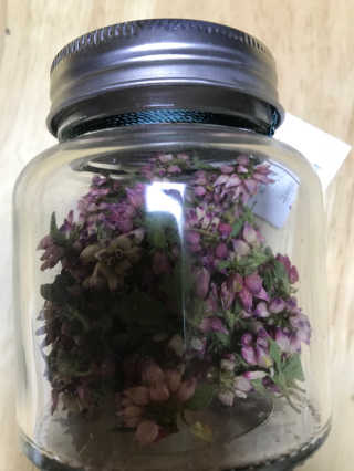 용용님이 올린 리뷰 사진 2