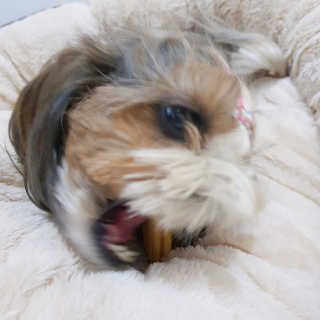 민준맘님이 올린 리뷰 사진 3