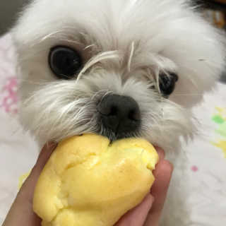 sunnnyef님이 올린 리뷰 사진 3