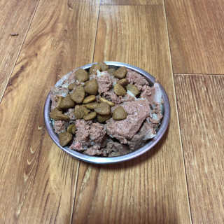[펫토리아] BEST 한캔뚝딱 강아지 캔간식 — 4.5점을 준 리뷰어가 2019년 3월 올린 사용 사진