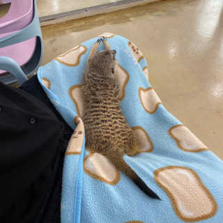 삐삐님이 올린 리뷰 사진 4
