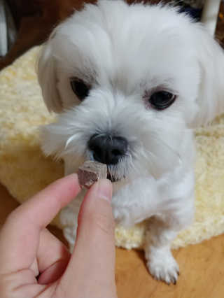 허문희님이 올린 리뷰 사진 2