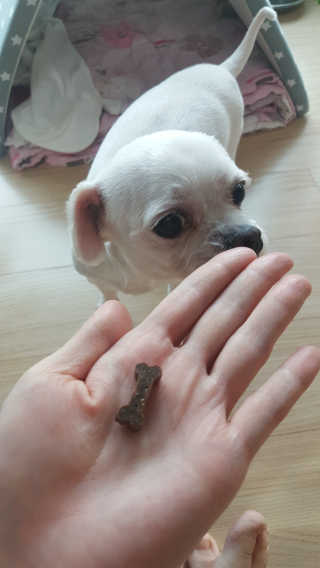 오늘은 더좋지님이 올린 리뷰 사진 2