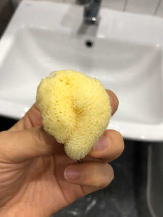 DaheeSong님이 올린 리뷰 사진 1