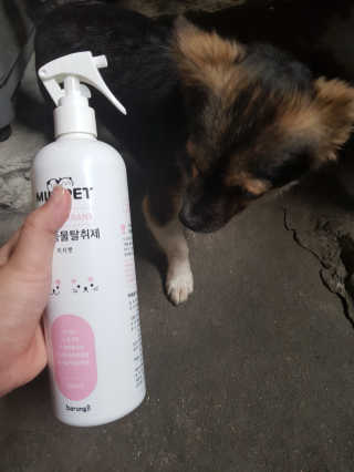 꽃수니어니님이 올린 리뷰 사진 2