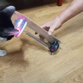 동그라미님이 올린 리뷰 사진 3