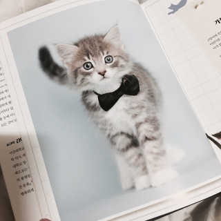 록이님이 올린 리뷰 사진 2