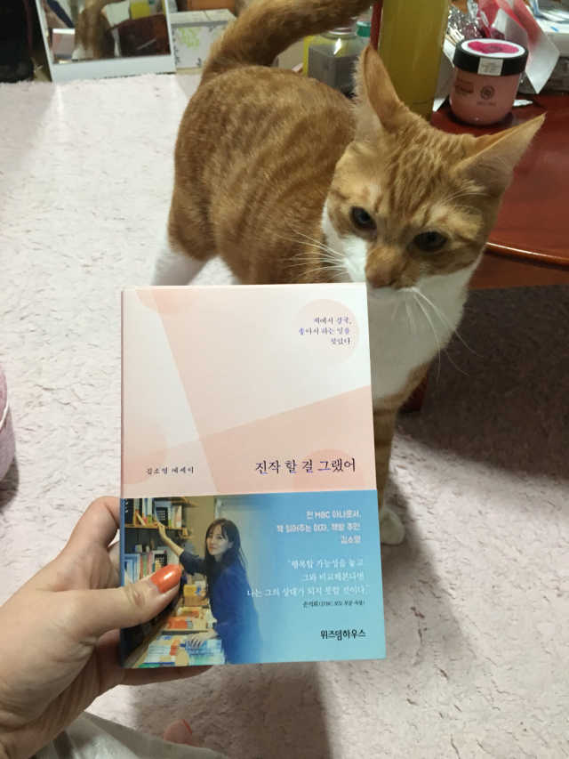 진작 할 걸 그랬어 리뷰 사진