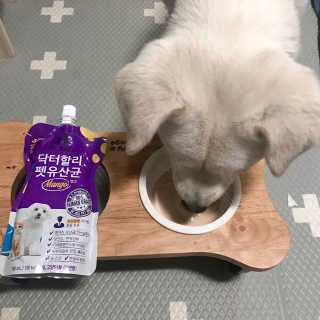 닥터할리펫밀크 8종 — 5점을 준 리뷰어가 2019년 5월 올린 사용 사진