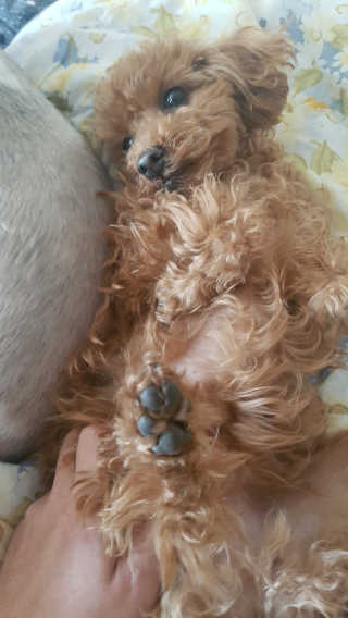 부우님이 올린 리뷰 사진 3