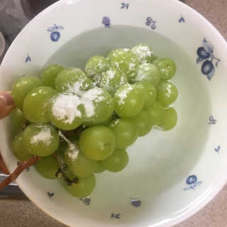 별톱님이 올린 리뷰 사진 2