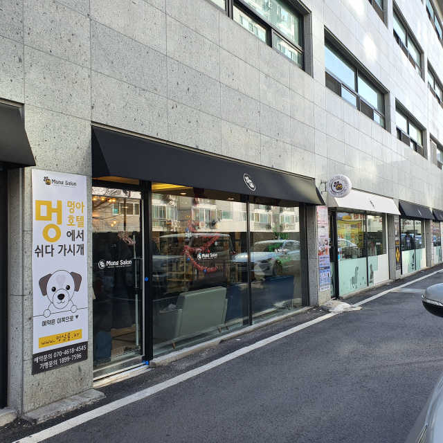 [멍살롱 고척본점] 애견카페 이용권 + 음료 2잔 리뷰 사진