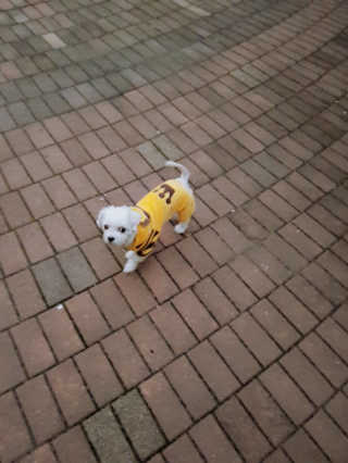 김상호님이 올린 리뷰 사진 2