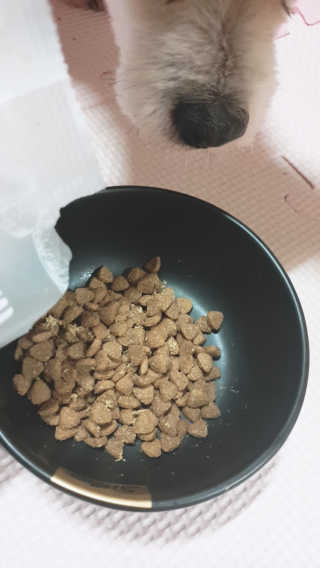 moomoon님이 올린 리뷰 사진 4