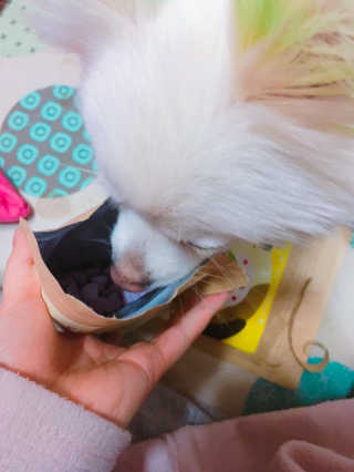 박효인님이 올린 리뷰 사진 2