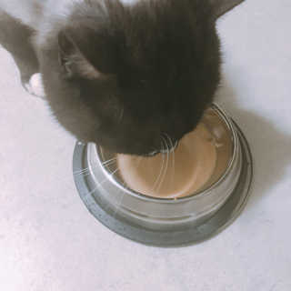 이잉룽님이 올린 리뷰 사진 3