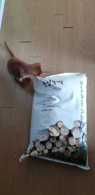살뚱뚱님이 올린 리뷰 사진 1