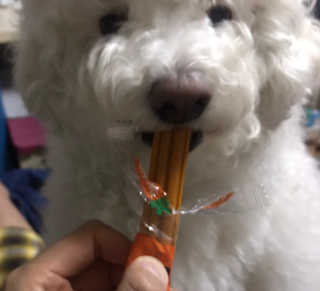 갱스님이 올린 리뷰 사진 3