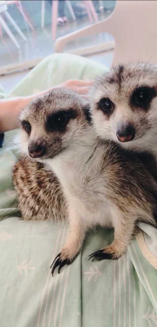 얌님이 올린 리뷰 사진 1