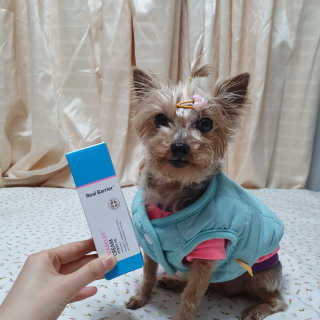 솜희님이 올린 리뷰 사진 3