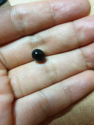 아띠님이 올린 리뷰 사진 2
