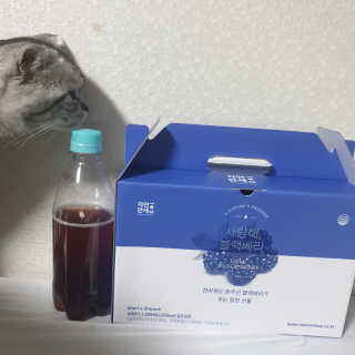 이째님이 올린 리뷰 사진 4
