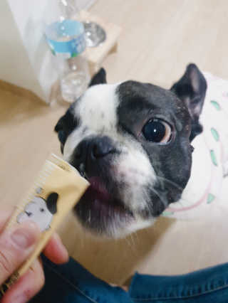 김미니님이 올린 리뷰 사진 2