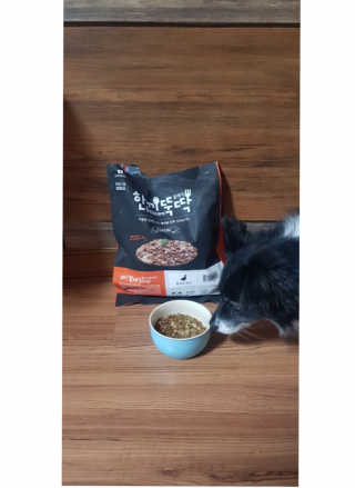 [펫토리아] 맛도 영양도 BEST 한끼뚝딱 강아지 사료 — 5점을 준 리뷰어가 2018년 12월 올린 사용 사진