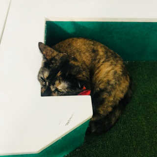 김민선님이 올린 리뷰 사진 3