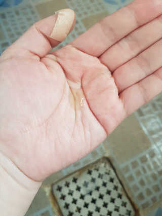 김푸들님이 올린 리뷰 사진 1