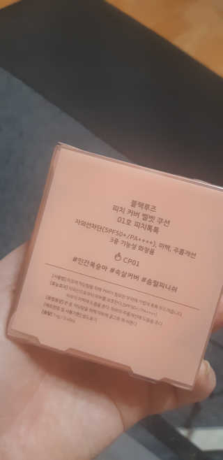 [블랙루즈] 피치 커버 벨벳 쿠션 2종 중 택1 — 5점을 준 리뷰어가 2019년 10월 올린 사용 사진