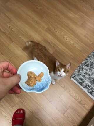 JihyeCheong님이 올린 리뷰 사진 3