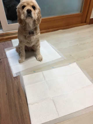 곰둥공주님님이 올린 리뷰 사진 3