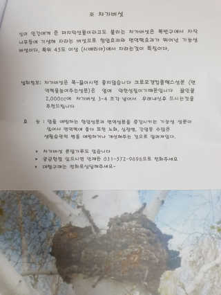 다다름님이 올린 리뷰 사진 4