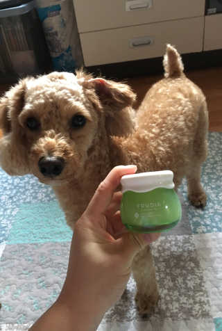 김현희님이 올린 리뷰 사진 1