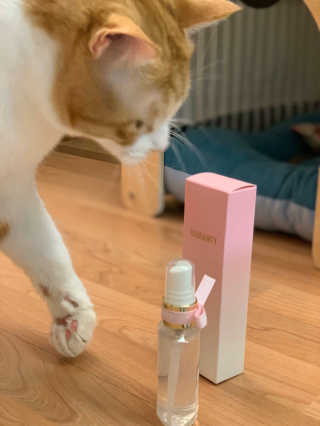난이님이 올린 리뷰 사진 3