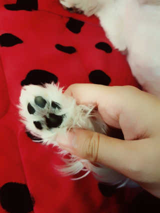 정희근님이 올린 리뷰 사진 2