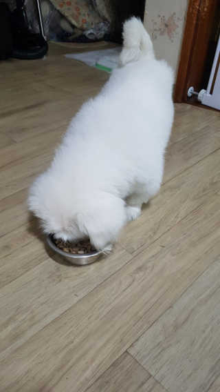 도담공주님이 올린 리뷰 사진 2