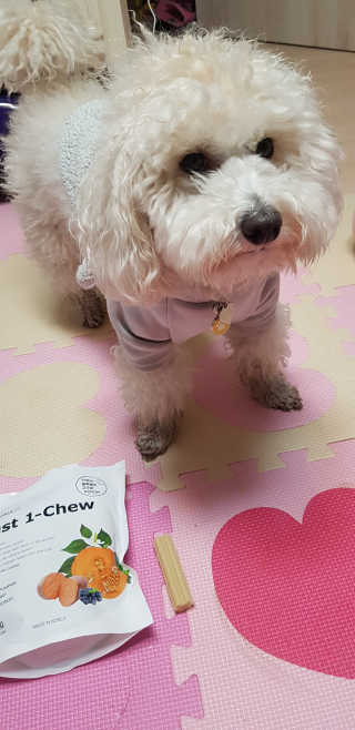 [펫토리아] 한입뚝딱 혼합 덴탈츄 Just 1-Chew — 3점을 준 리뷰어가 2020년 2월 올린 사용 사진