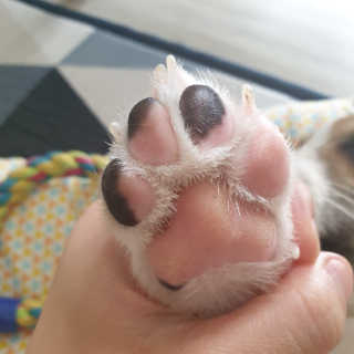 진이맘님이 올린 리뷰 사진 4