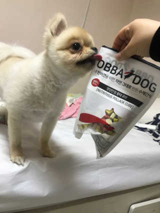 오빠독 국내산 강아지 간식 수제 큐브 4종 — 4.5점을 준 리뷰어가 2018년 4월 올린 사용 사진