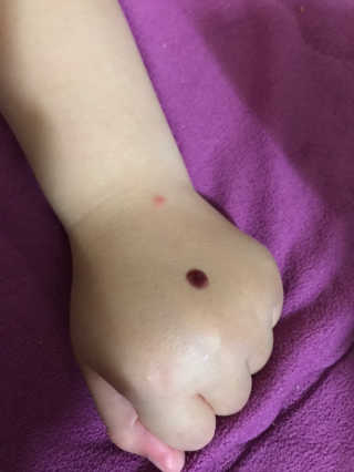 빡션님이 올린 리뷰 사진 4