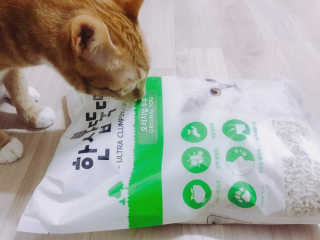 [펫토리아] BEST 고양이두부모래 6L 한삽뚝딱 — 4.5점을 준 리뷰어가 2019년 1월 올린 사용 사진
