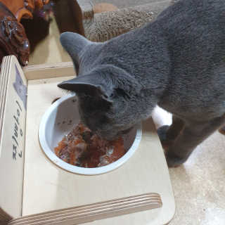 율집사님이 올린 리뷰 사진 1