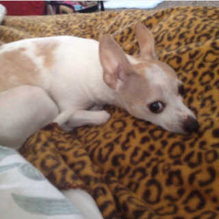 AimeeLeeFF님이 올린 리뷰 사진 3